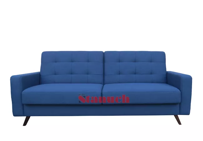 Folding couch with a container for bedding
